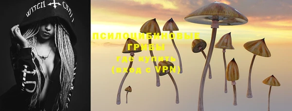 стафф Балабаново