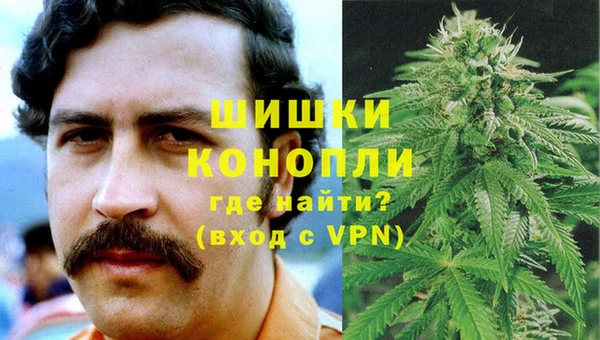 ПСИЛОЦИБИНОВЫЕ ГРИБЫ Сосновка