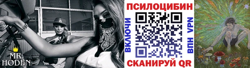 даркнет состав  Новосиль  Галлюциногенные грибы MAGIC MUSHROOMS  МЕГА рабочий сайт 